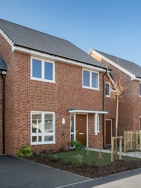 Untitled design (32).png