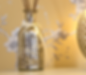 close up 3.png