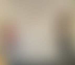 Presenting and discussing what they learned...