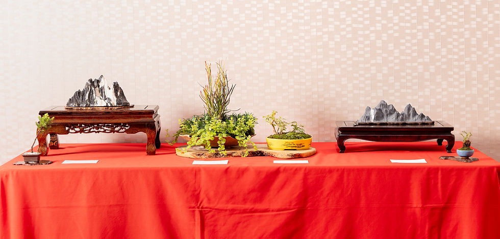 2025_0918_BOTB_B3854