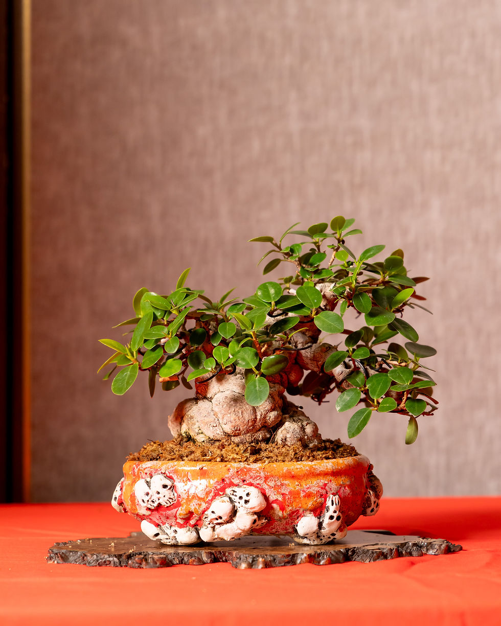 2025_0918_BOTB_B3802