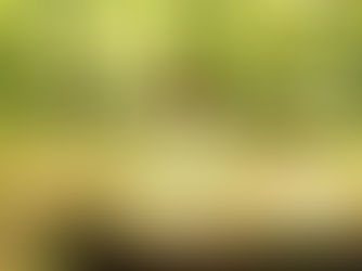 Kako dovoliti bolečini oditi?