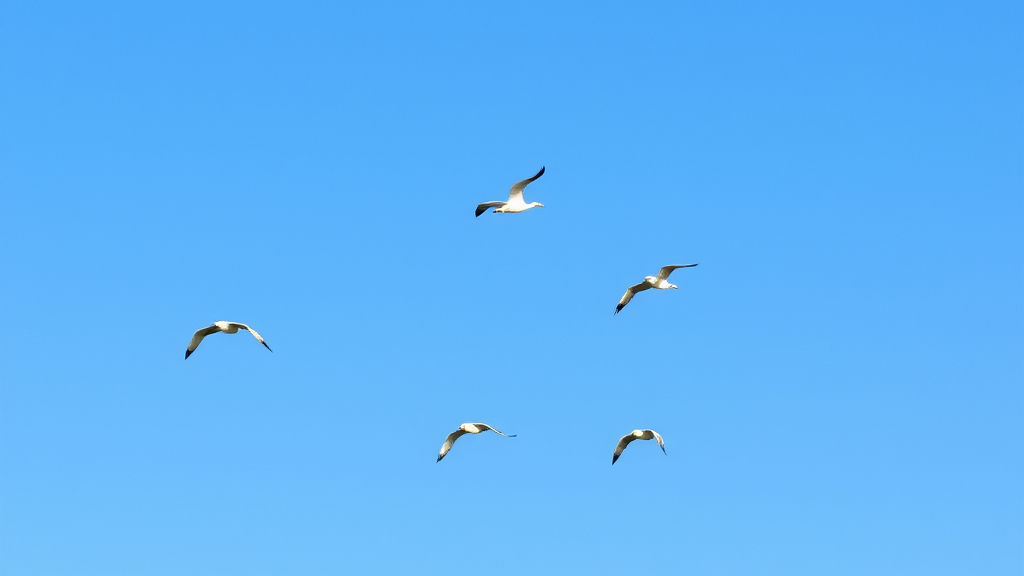 birds flying blue sky.jpg