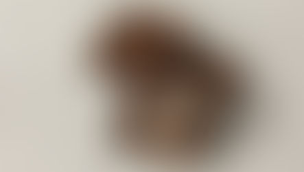 Use Wine Waste to Make Healthier Chocolate