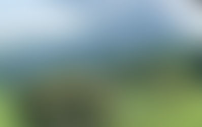 How to Prioritize a Visit to the Wineries in Fauquier County, Virginia  