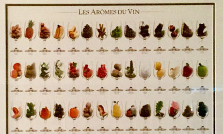 There’s Tobacco in My Wine? An Exploration of Wine Aromas