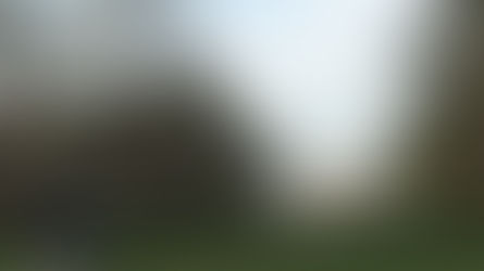 Three Different Winery Experiences Around Charlottesville, Virginia