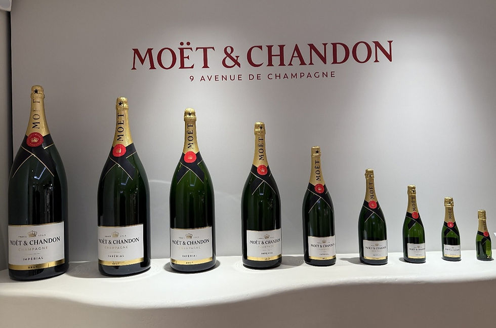 Secrets about France's Champagne Region