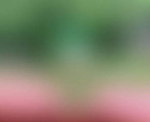 How to Make the ‘Wine With Our Family’ Margarita 