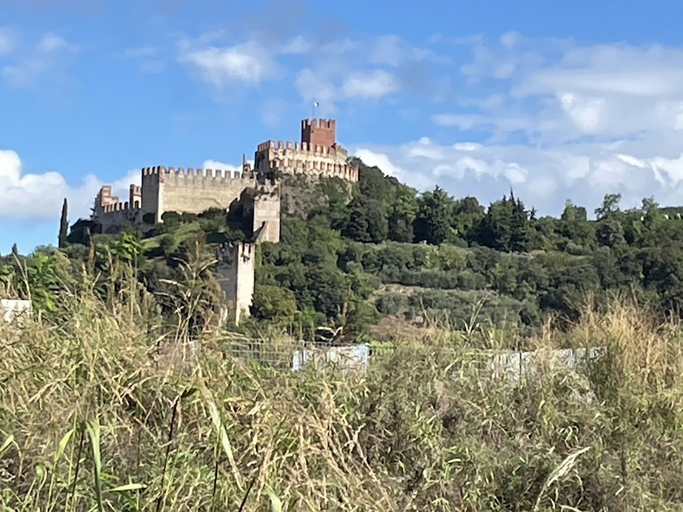 Prioritize your Verona wine region experience