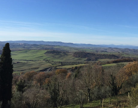 Discovering the Wine of Montalcino and Montepulciano