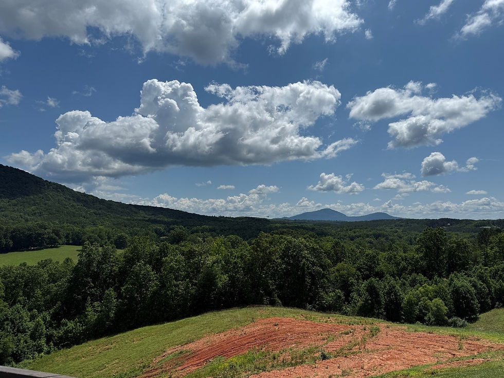 Atlanta's food and wine scene