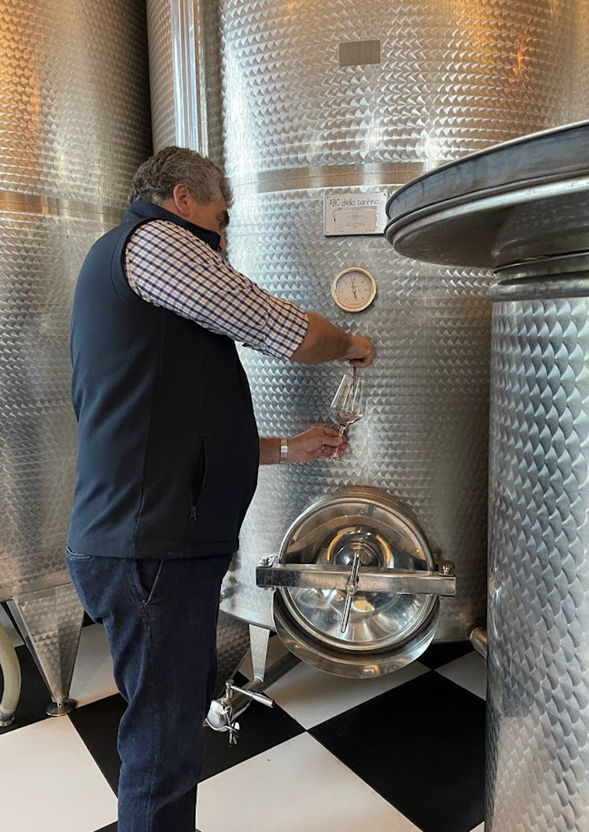 Immerse yourself in Barolo in one day