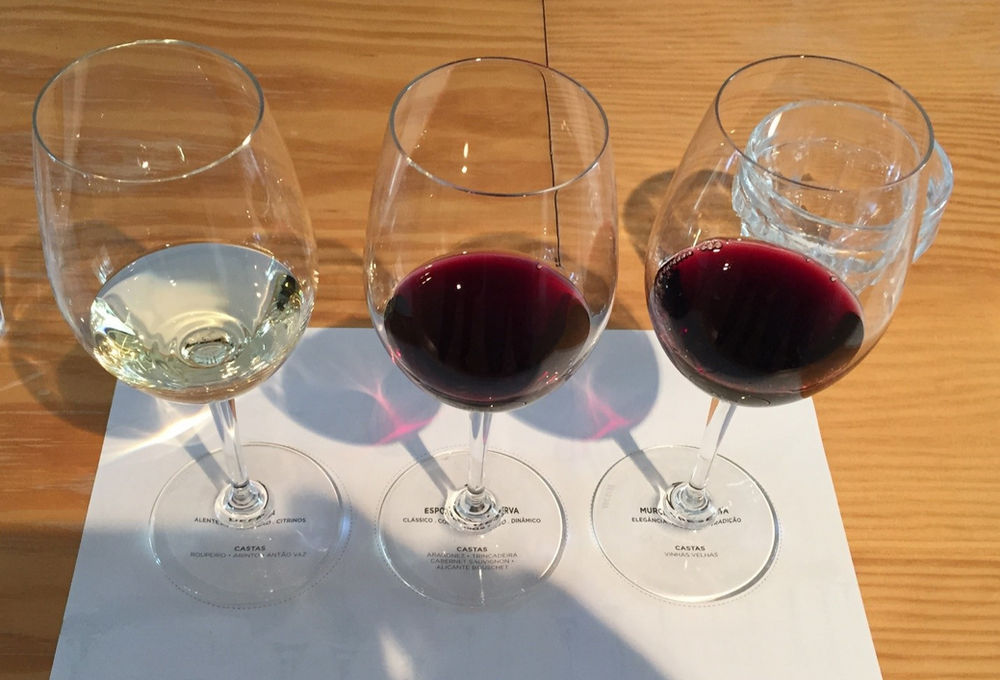 5 Tips to Consider When Choosing a Wine Tour