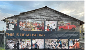 How to Map Out Your Healdsburg Area Wine Experience