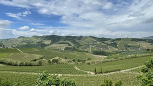 Immerse yourself in Barolo in one day