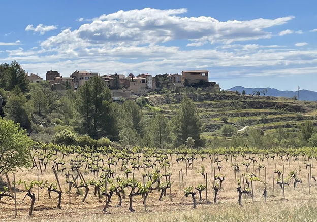 Love wine? Get Yourself to Priorat!