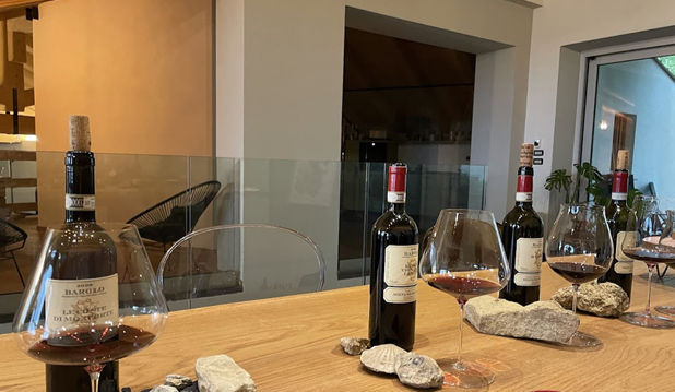 Immerse yourself in Barolo in one day