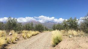 Discovering Uco Valley Wine