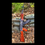 Thumbnail: Zastava ZPAP M70 Stock Set