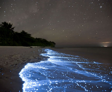 Mare di stelle 