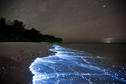 Mare di stelle 