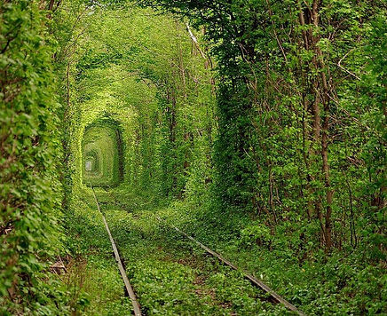 Il Tunnel dell'Amore