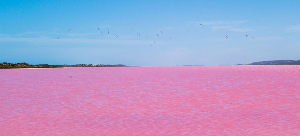 Lago Rosa in Australia