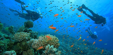 Diving a Sharm El Sheikh