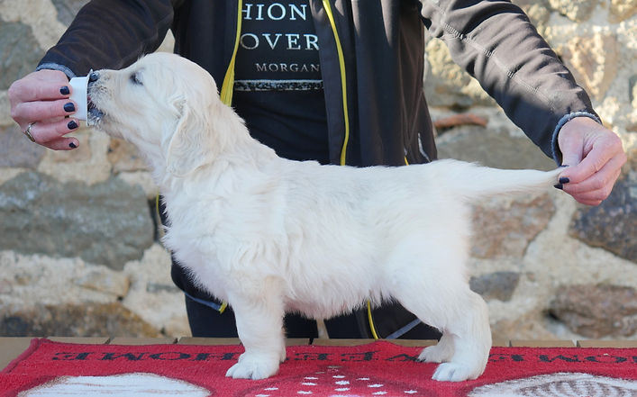 Miss Rose 1.NET(2).jpg