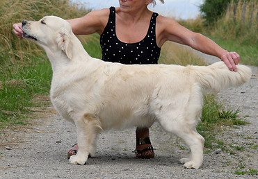 Datcha stat 00.05.7.2021.NET1.jpg