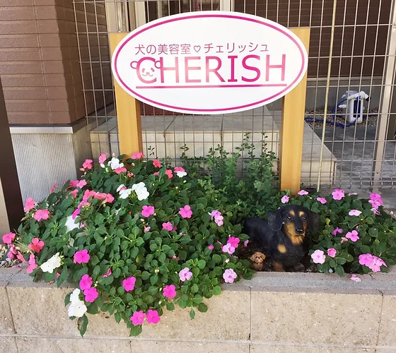 富山 ドッグサロン トリミングサロン 犬の美容室チェリッシュ Cherish Dog