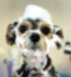 シルク泡パック