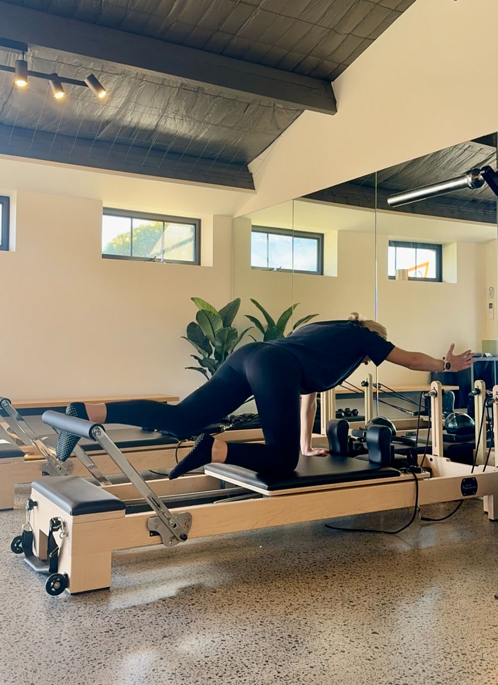 Bird dog on reformer