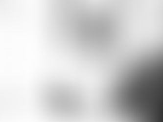 The Fastest Way to Lose a Grant