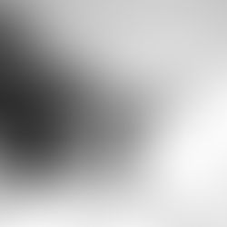 The Harsh Reality for New Business Owners: How to balance Admin, Marketing, and Finance with Your Passion