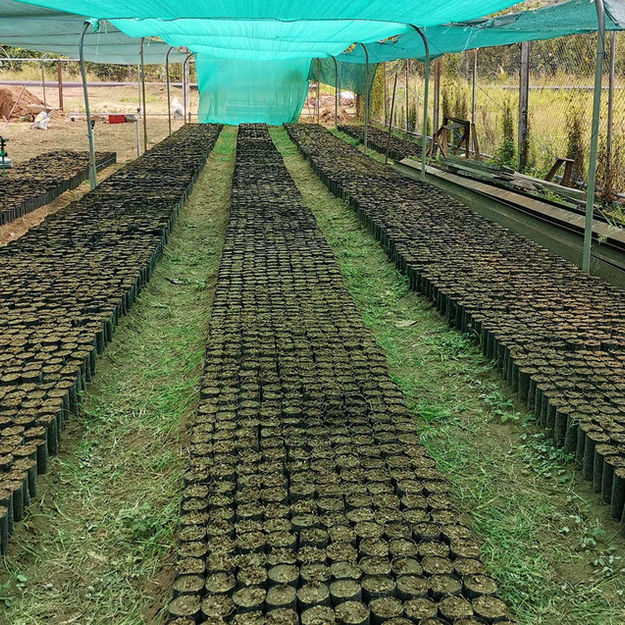 regenwald-schuetzen-costa-rica-llano-bonito-nature-reserve