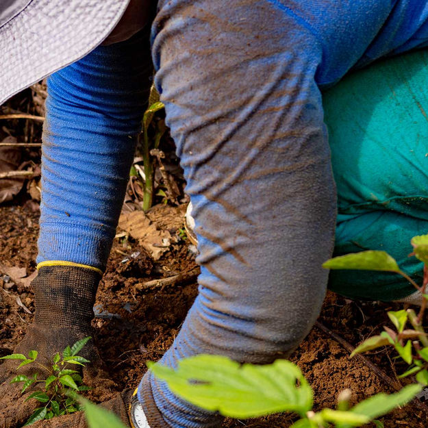 regenwald-schuetzen-costa-rica-llano-bonito-nature-reserve