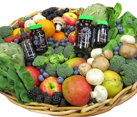 Lebende vollwertkost