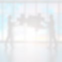 partner (3).png