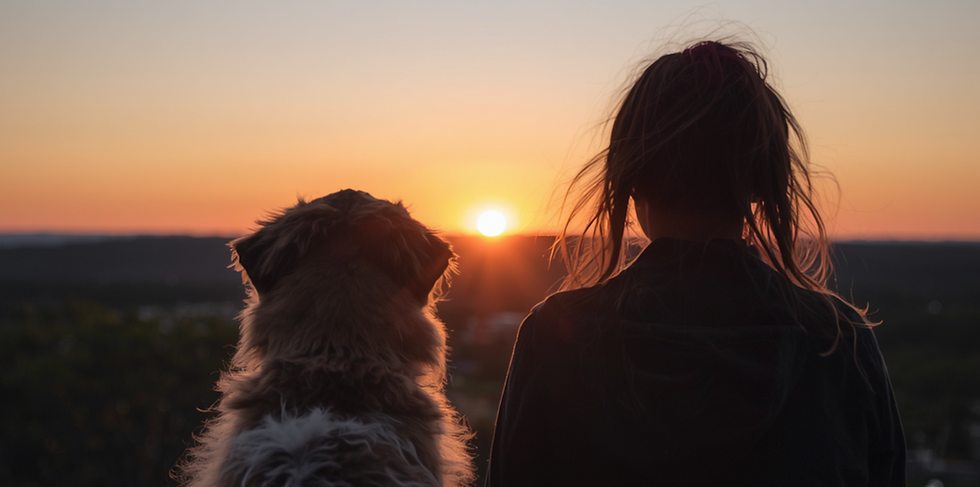 Person and pet looking toward a sunrise horizon, symbolizing honored soul bonds, healing, and raising frequencies together.
