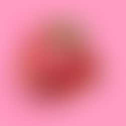  Red Raspberry The Immune Builder