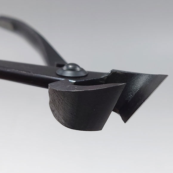 Thumbnail: No. 3A Branch (Concave) Cutter