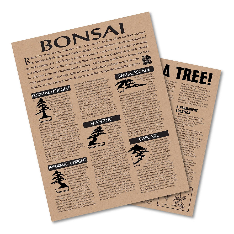 Thumbnail: Blue Spruce Bonsai Grow Kit Terrarium