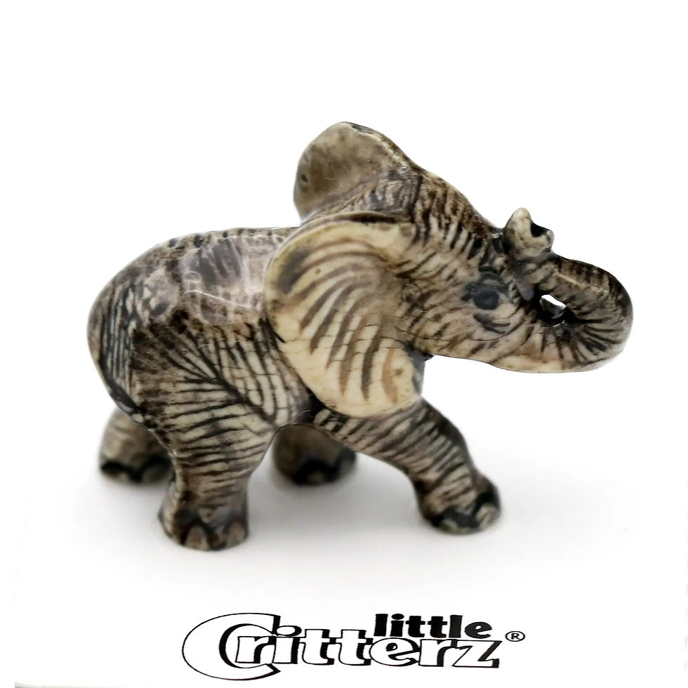Thumbnail: African Elephant Calf 'Savanna'