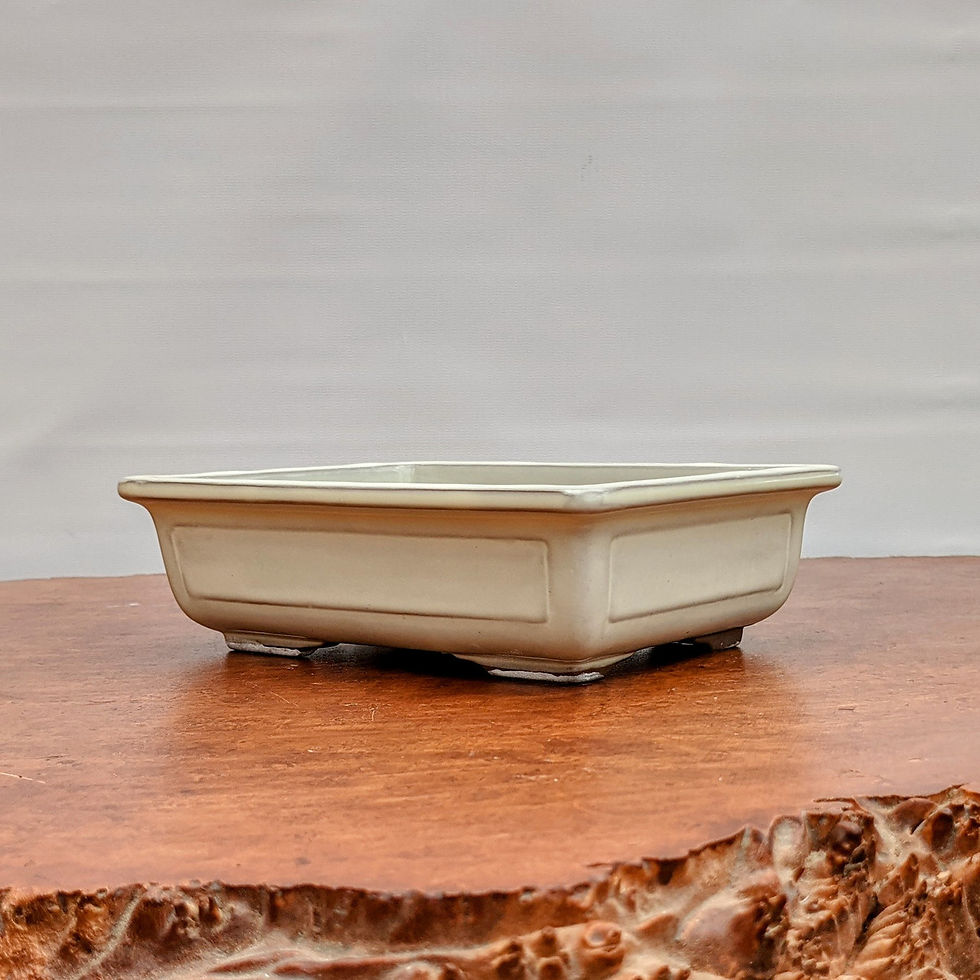 Thumbnail: 7”-11” Cream Glazed Rectangle Japanese Pot 19810
