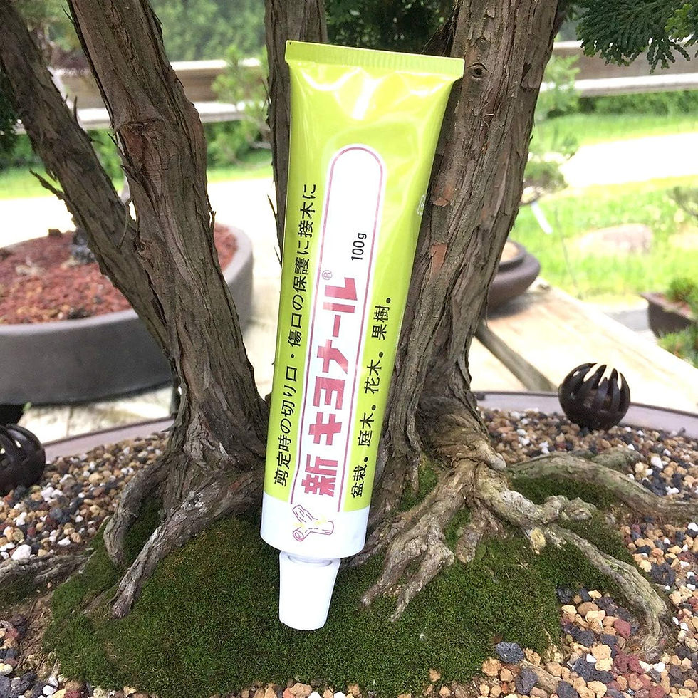Thumbnail: Kiyonal Tree Wound Sealer 