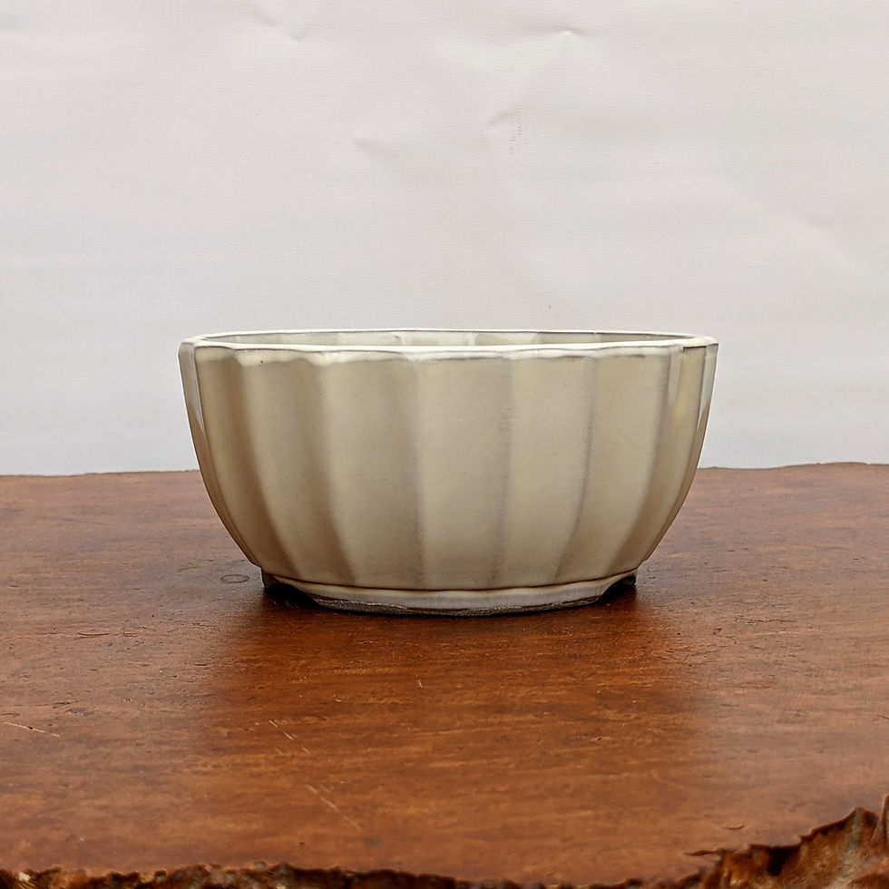 Thumbnail: 4”-5” Cream Glazed Round Japanese Pot 0428
