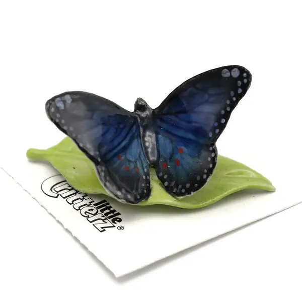 Blue Morpho Butterfly 'Venus'