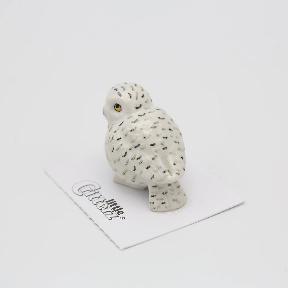 Thumbnail: Snowy Owl 'Ghost'